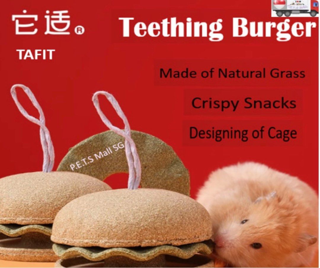 Hamster teething outlet