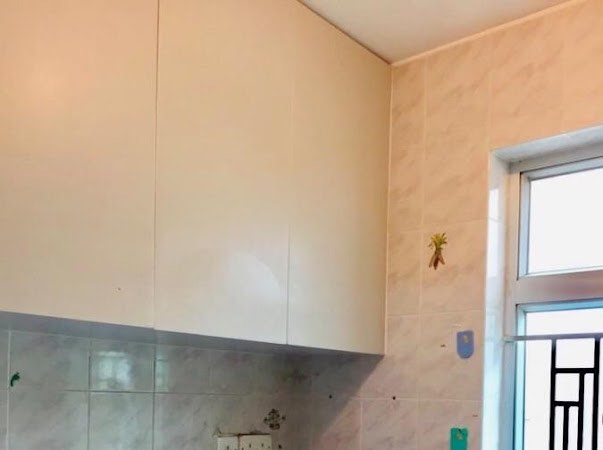 最新放出 👀👀 可養小狗🐶63437905872641114