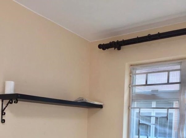 最新放出 👀👀 可養小狗🐶63437905872641113