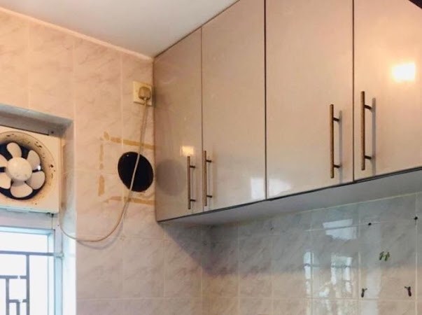 最新放出 👀👀 可養小狗🐶63437905872641112