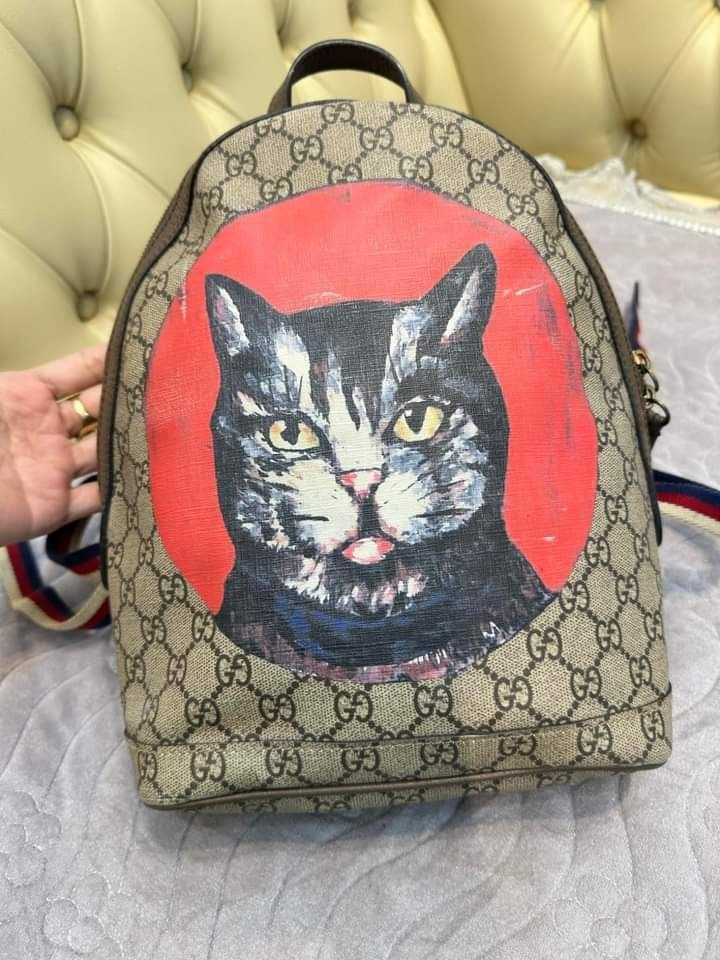 Gucci bag cat shop