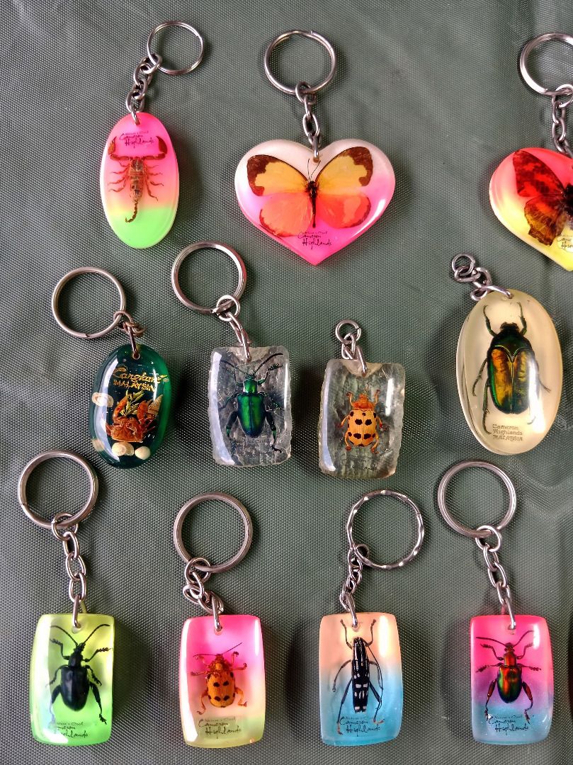 Vintage acrylic keychains for sale by collector