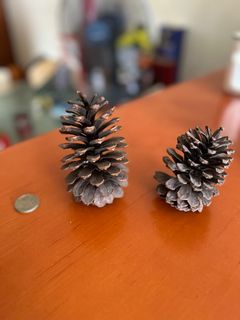 （分類：）位於 。 由 yanyinw 提交（商品編號 1316317570，圖片 1）。簡介： 。