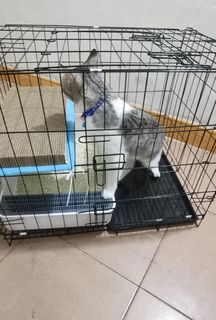 (Category: ) located in . Submitted by pawlobby (Listing ID 1316346953, Image 1). Description: .