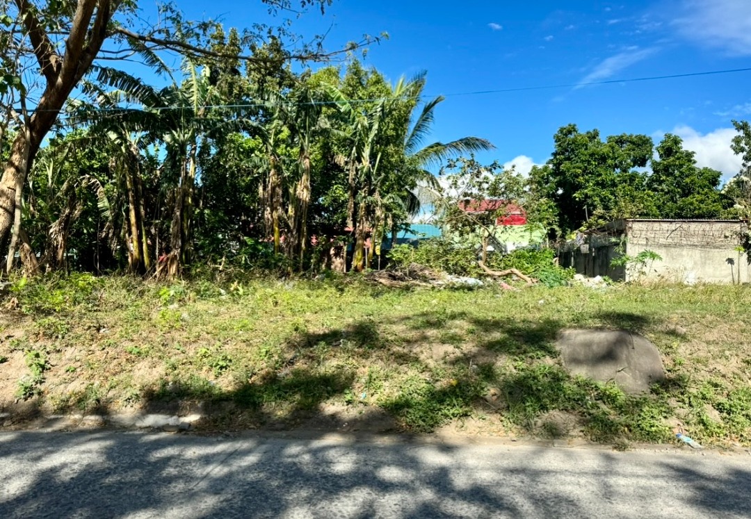 (Category: ) located in . Submitted by remax.portfolio (Listing ID 1316306319, Image 1). Description: .