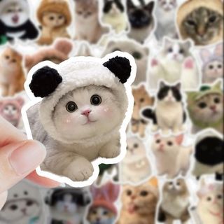 （分類：）位於 。 由 chingchan6944 提交（商品編號 1316517634，圖片 1）。簡介： 。
