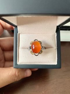 (Category: ) located in . Submitted by forever_new (Listing ID 1316469876, Image 1). Description: .