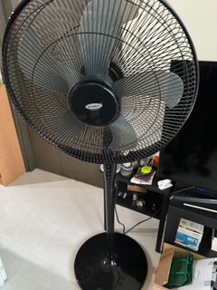 (Category: ) located in . Submitted by mafia666 (Listing ID 1316466918, Image 1). Description: .