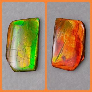 Canadian đ¨đŚ Double-Sided King Ammolite64224129111171110