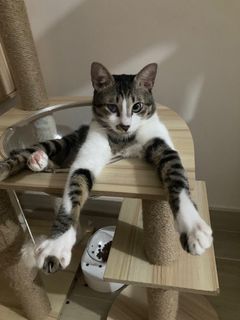 （分類：）位於 。 由 kimberlykk06 提交（商品編號 1256101503，圖片 1）。簡介： 。