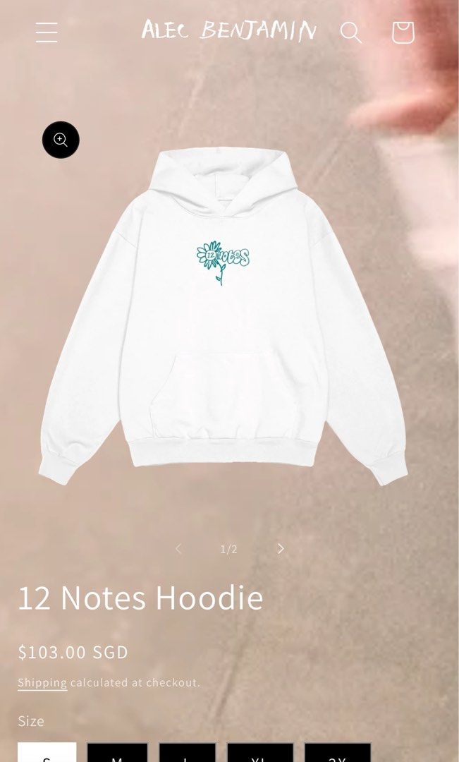 Alec benjamin merch hoodie top