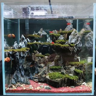 (Category: ) located in . Submitted by bleuzenscape (Listing ID 1316768475, Image 1). Description: .