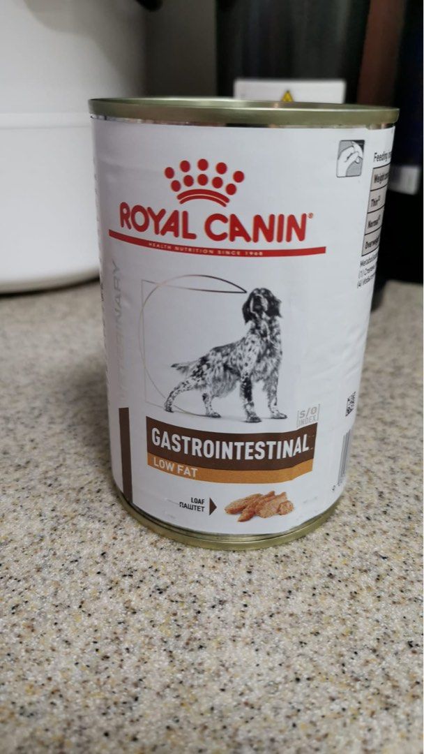Dog food Royal canin gastrointestinal low fat canned food Pet Supplies Pet Food on Carousell