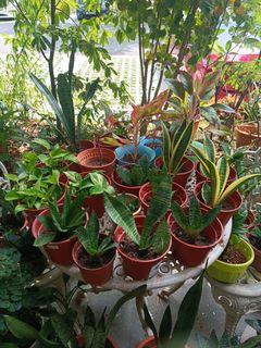 (Category: ) located in . Submitted by huiyin21 (Listing ID 1316660093, Image 1). Description: .
