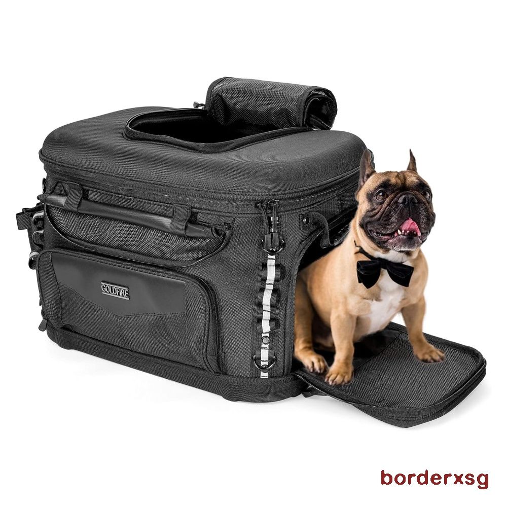 Luggage dog outlet