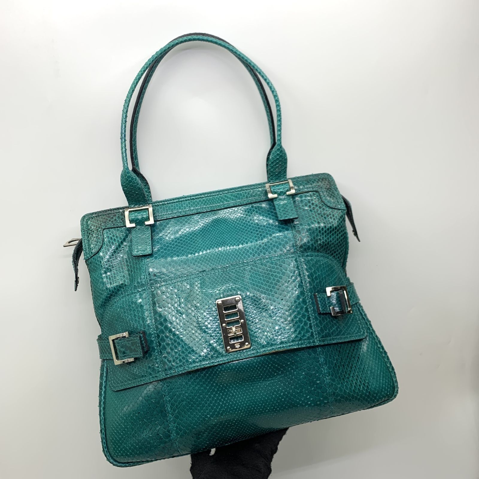 Mulberry python bag hotsell