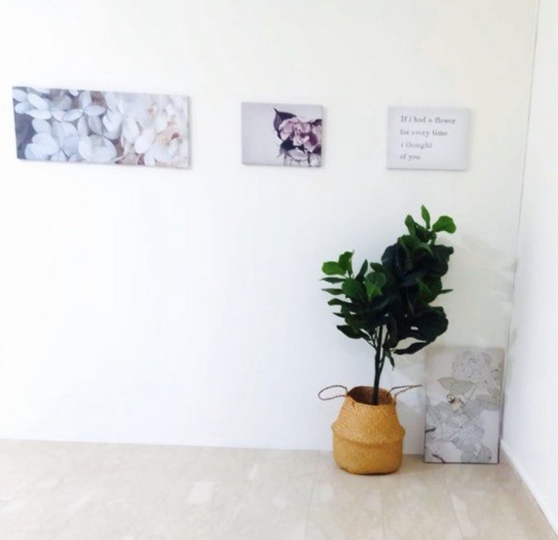 (Category: ) located in . Submitted by cosycoliving.sg (Listing ID 1306140087, Image 1). Description: .