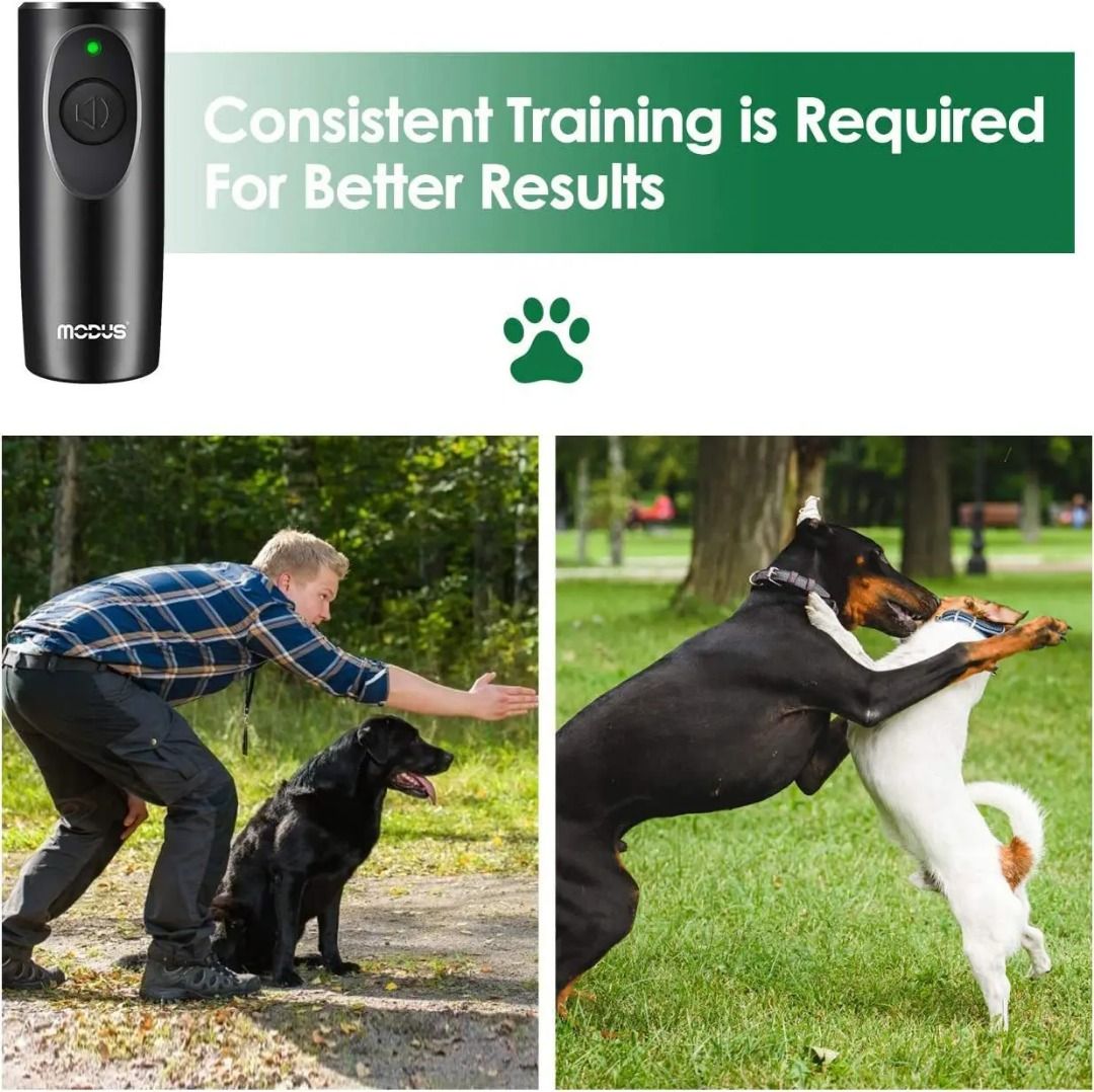 The range dog accessories outlet