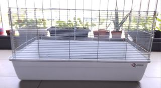 (Category: ) located in . Submitted by mdm_teo (Listing ID 1316865120, Image 1). Description: .
