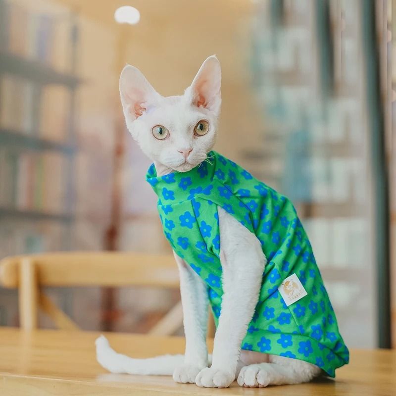 Outfits for kittens best sale