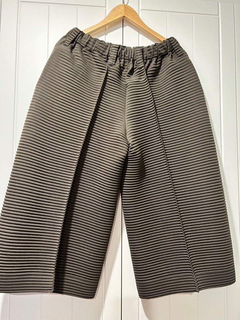 homme plisse issey miyake horizon pleats