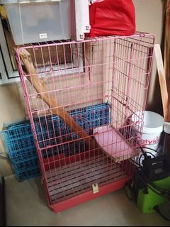 (Kategori: ) berada di . Dikirim oleh ajxpets (ID iklan 1317075748, Gambar 1). Deskripsi: .