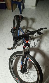 mongoose subject bmx