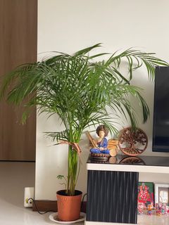 (Category: ) located in . Submitted by abhi_am (Listing ID 1317074915, Image 1). Description: .