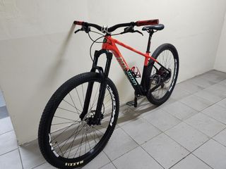 Polygon 29er outlet
