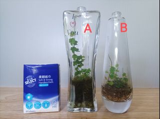 （分類：）位於 。 由 byg2020 提交（商品編號 1312192397，圖片 1）。簡介： 。