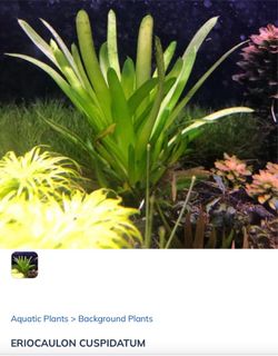 (Category: ) located in . Submitted by sreejol (Listing ID 1310080791, Image 1). Description: .