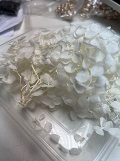 （分類：）位於 。 由 abloomingflower 提交（商品編號 1317252070，圖片 1）。簡介： 。