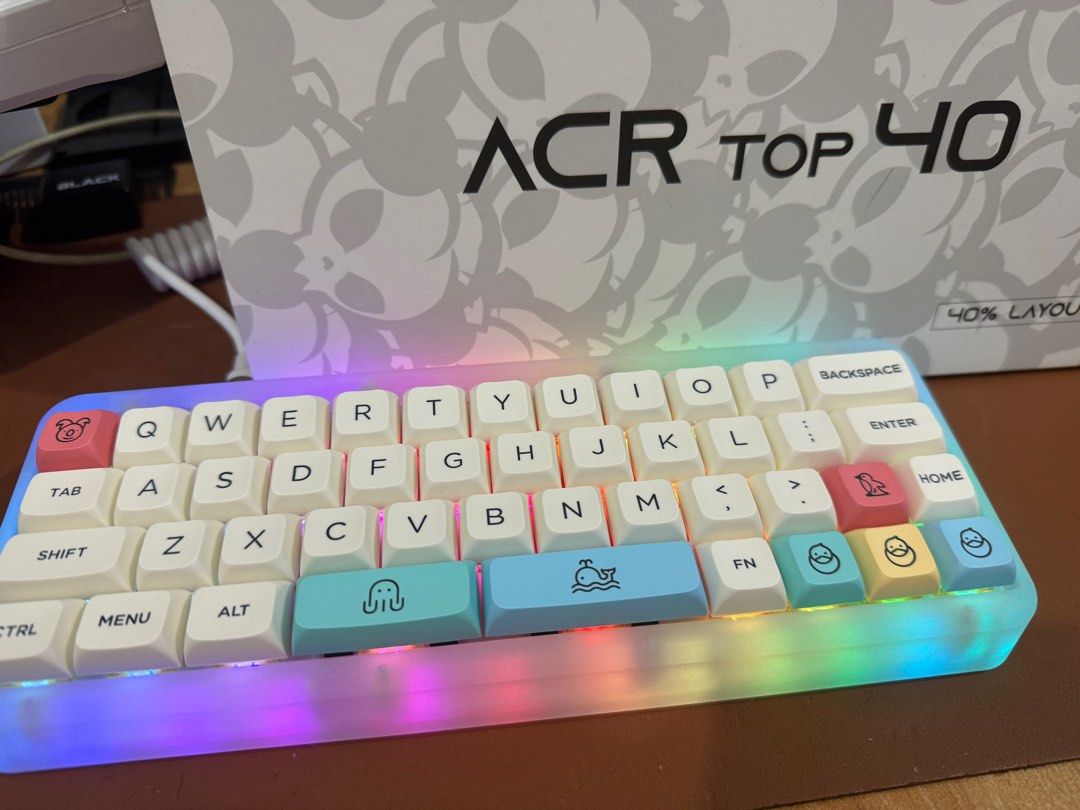 Akko ACR Top 40 [BAREBONES], Computers & Tech, Parts & Accessories ...