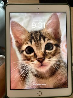 (Category: ) located in . Submitted by izzan.razali (Listing ID 1317258757, Image 1). Description: .