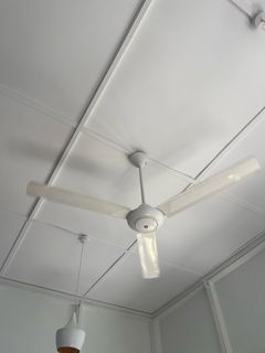 (Category: ) located in . Submitted by yuanarm (Listing ID 1317250225, Image 1). Description: .