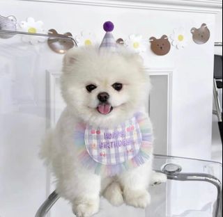 (Category: ) located in . Submitted by Juju27 (Listing ID 1317326791, Image 1). Description: .