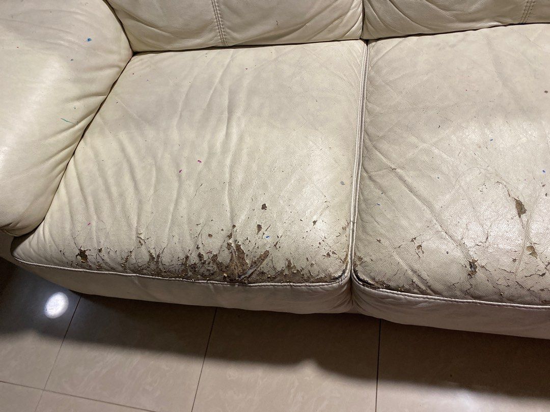 Sofa (Category: Sofas) located in Singapore. Submitted by priym (Listing ID 1317356560, Image 3). Description: Free.