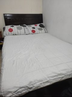 (Category: ) located in . Submitted by pompoms0411 (Listing ID 1317467810, Image 1). Description: .