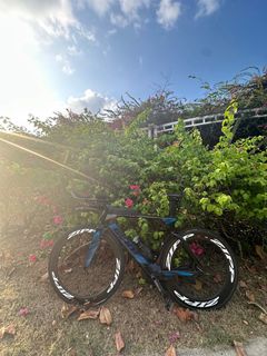(Category: ) located in . Submitted by normal_cyclist (Listing ID 1312697638, Image 1). Description: .