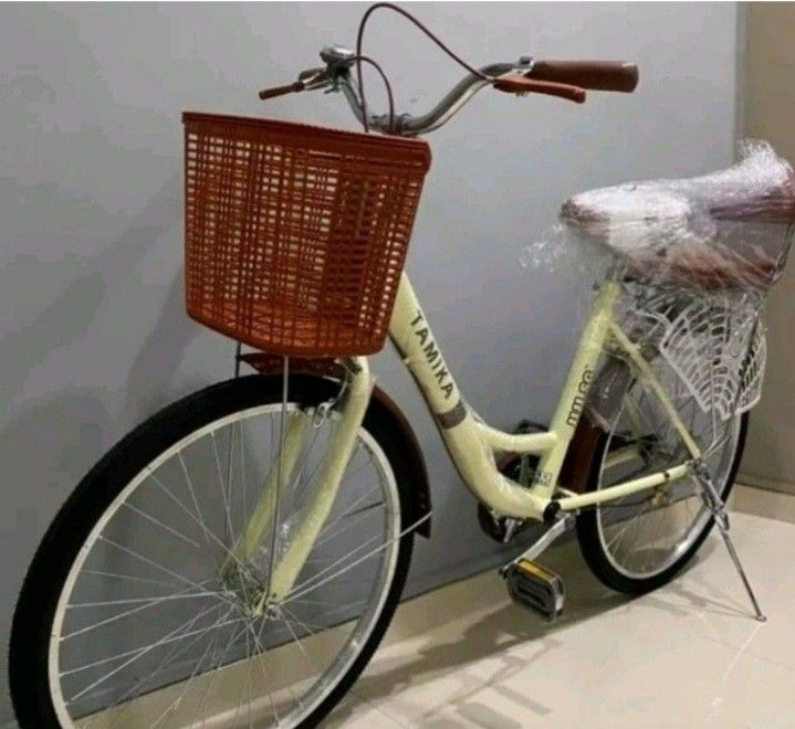 Adult bicycle online clearance
