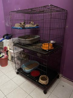 (Category: ) located in . Submitted by youngcloud_dc7d9c (Listing ID 1317518239, Image 1). Description: .