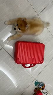 (Category: ) located in . Submitted by 700eell (Listing ID 1312396413, Image 1). Description: .