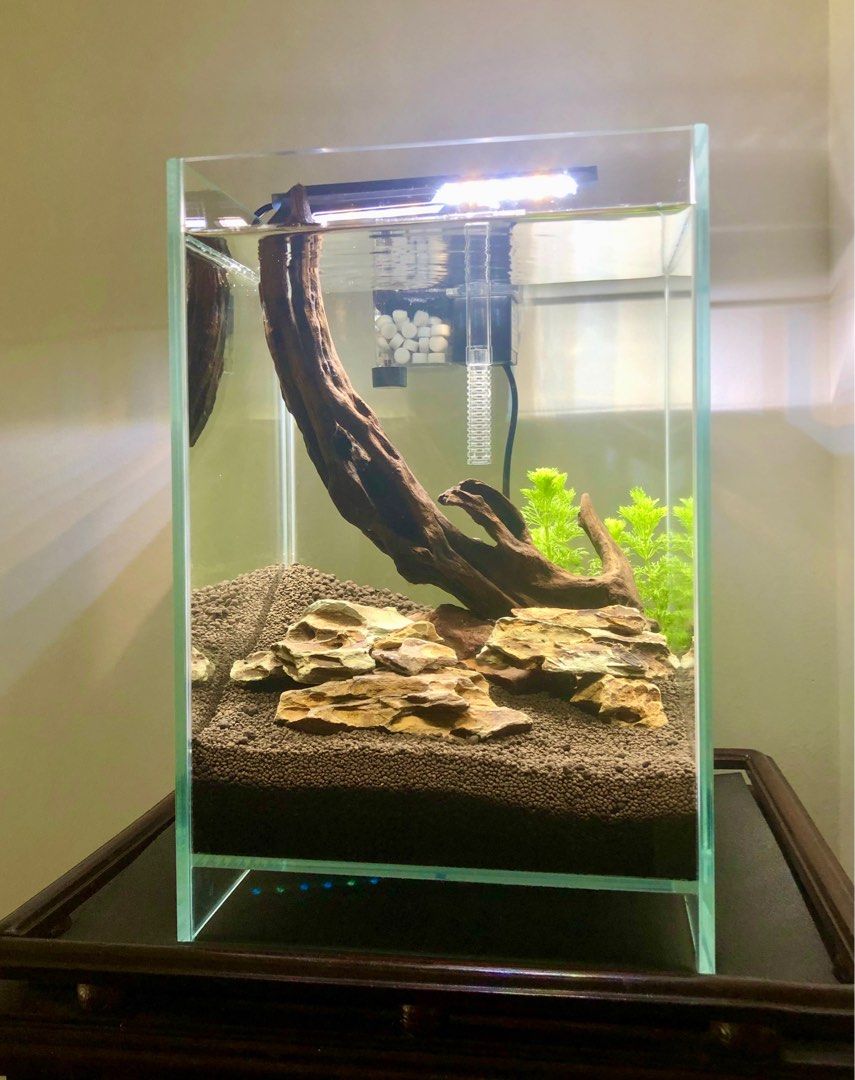 Curated visual reference: Visual Reference: Mini Fish Tank With Aquarium Kit For Beginner And Hobbyists