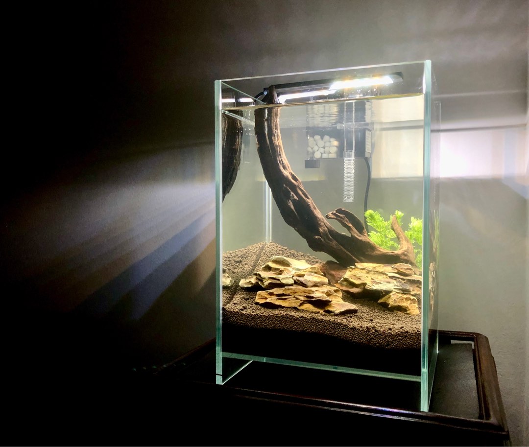 Thumbnail for Mini Fish Tank With Aquarium Kit For Beginner And Hobbyists Everything