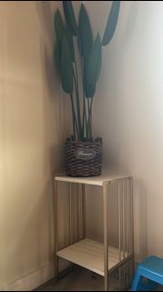 (Category: ) located in . Submitted by nelly_store (Listing ID 1312463212, Image 1). Description: .