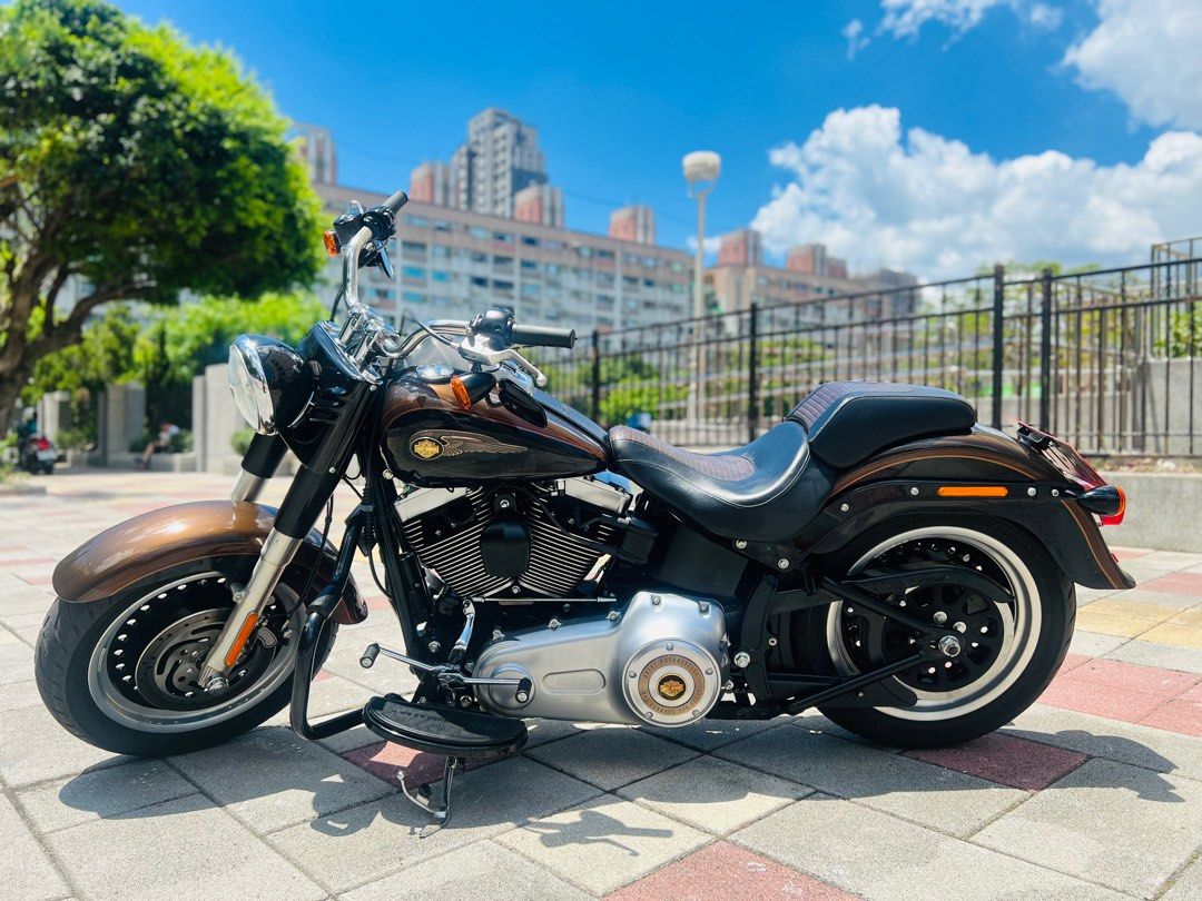 Lo 110th Anniversary Edition 2013 Harley Fatboy Lo 2013年哈雷