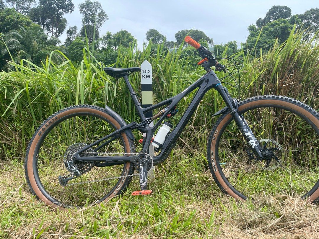 2021 Specialized Stumpy 29er Expert model