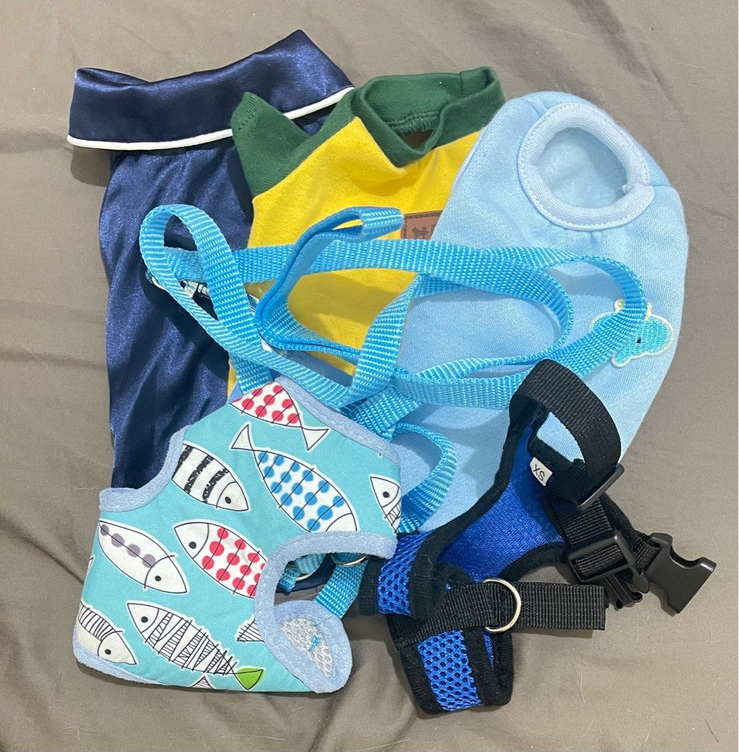 Dog Clothes - Puppy (Category: Homes & Other Pet Accessories) located in Pasig City. Submitted by kpm2012 (Listing ID 1312597495, Image 3). Description: This is for puppies, like it’s super small lang po. Likely to be outgrown. Got 2 of them from Korea, may tag pa yung isa though chinew na ng dog ko 😂 Throwing in 2 harness leashes for free..