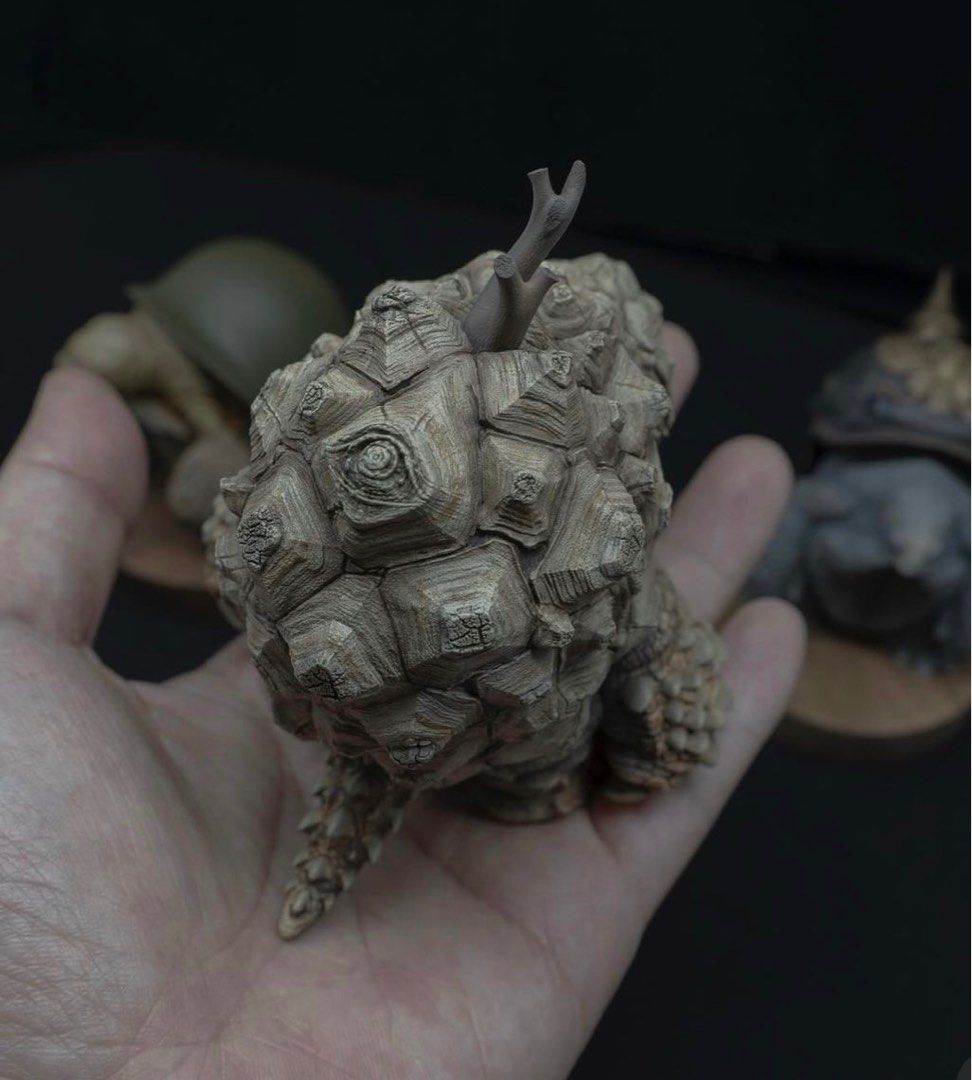 Gray turtle 龜甲龍figure 不是象牙宮象足漆樹羅本塊根植物