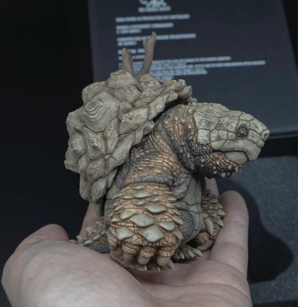 Gray turtle 龜甲龍figure 不是象牙宮象足漆樹羅本塊根植物